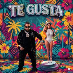 Portada de Te Gusta