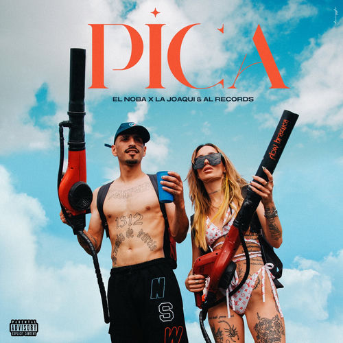 Portada de PICA