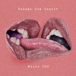 Portada de Besame Sin Sentir