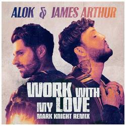 Portada de Work With My Love (Mark Knight Remix)