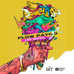 Portada de Flow Payco