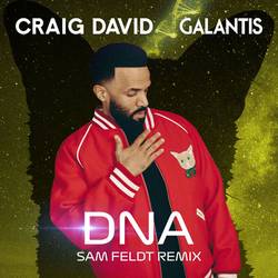 Portada de DNA (Sam Feldt Remix)