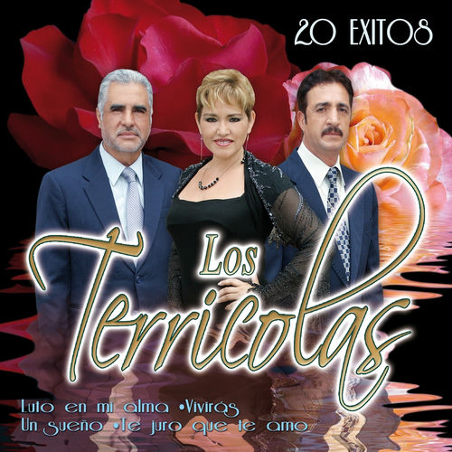 Portada de 20 Exitos