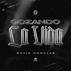 Portada de Gozando La Vida