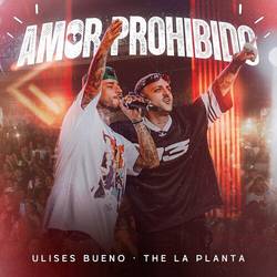 Portada de Amor Prohibido