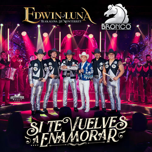 Portada de Si Te Vuelves A Enamorar