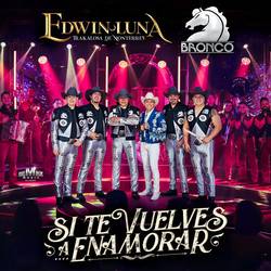 Portada de Si Te Vuelves A Enamorar