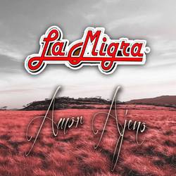 Portada de Amor Ajeno