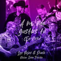 Portada de A Mí Me Gustas Tú (En Vivo)