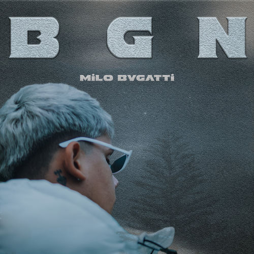 Portada de Beginning
