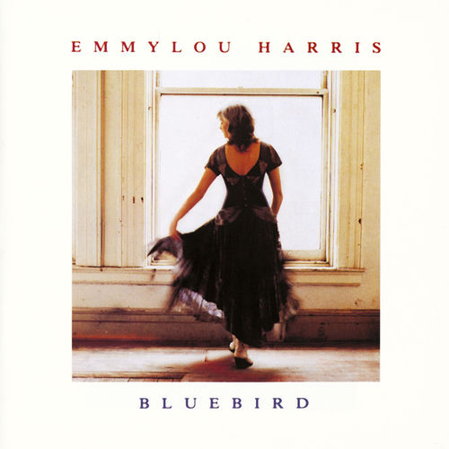 Portada de Bluebird