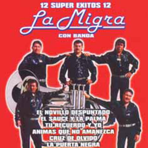Portada de 12 Super Exitos Con Banda