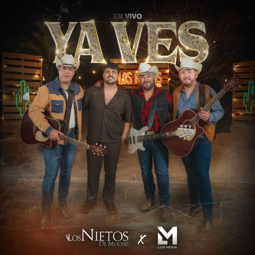 Portada de Ya Ves (En Vivo)