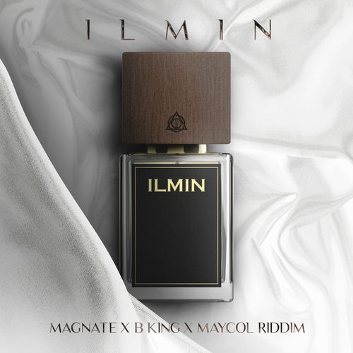 Portada de ILMIN