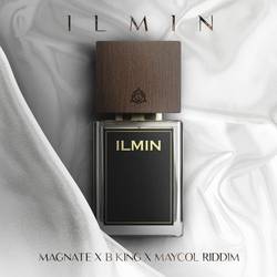 Portada de ILMIN