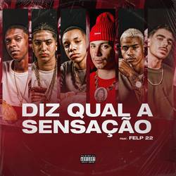 Portada de Diz Qual A Sensação