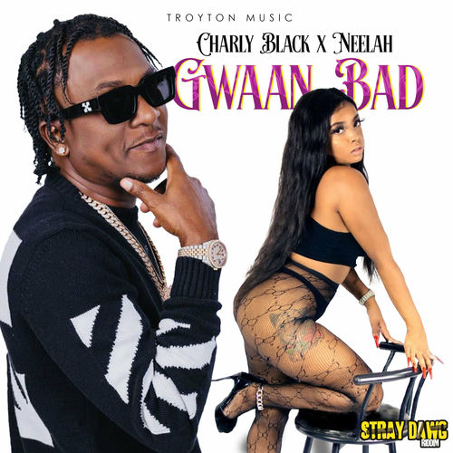 Portada de Gwaan Bad