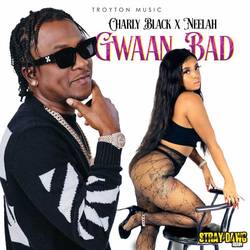 Portada de Gwaan Bad