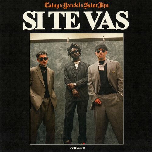 Portada de SI TE VAS