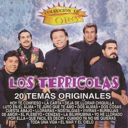 Portada de Coleccion De Oro: 20 Temas Originales
