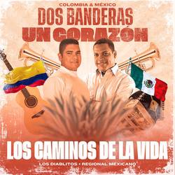 Portada de Los Caminos De La Vida (Regional Mexicano)
