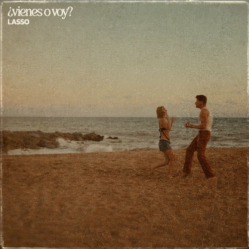 Portada de ¿vienes o voy?