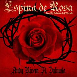 Portada de Espina de Rosa