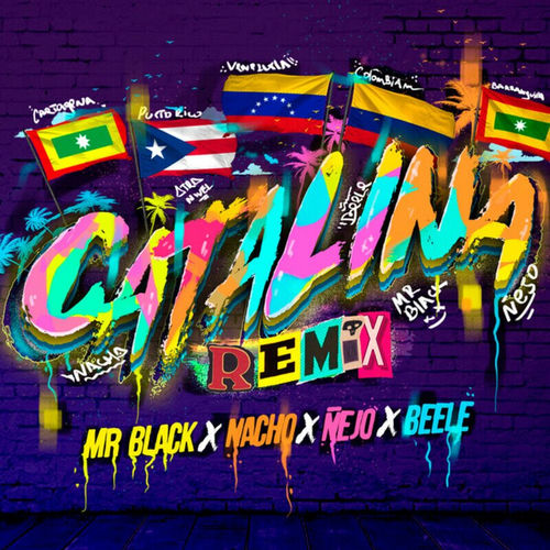Portada de Catalina (Remix)