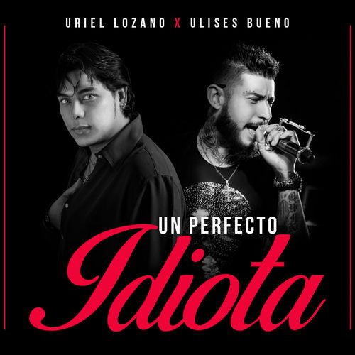 Portada de Un Perfecto Idiota