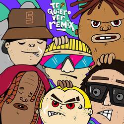 Portada de Te Quiero Ver (Remix)