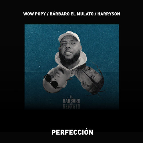 Portada de Perfección