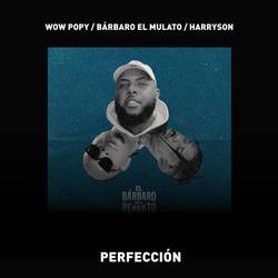 Portada de Perfección