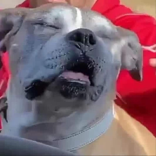 Portada de El Smokey