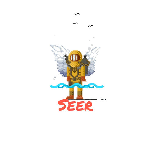 Portada de Seer