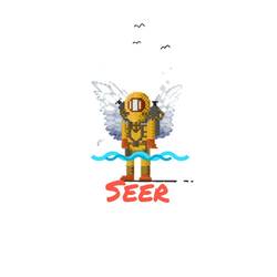 Portada de Seer