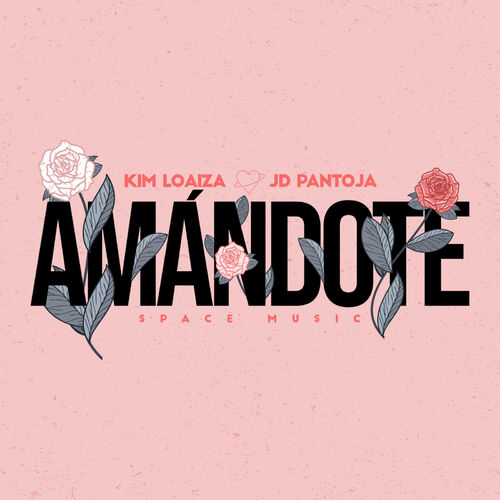 Portada de Amándote