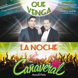 Portada de Que Venga La Noche