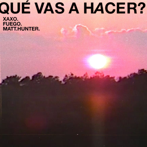 Portada de Qué Vas A Hacer?