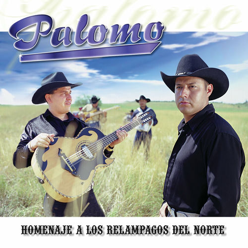 Portada de Homenaje A Los Relampagos Del Norte