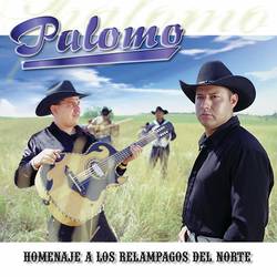 Portada de Homenaje A Los Relampagos Del Norte