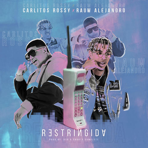 Portada de Restringida