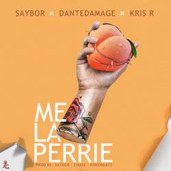 Portada de Me la Perrie