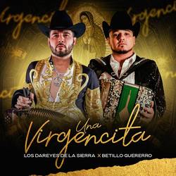 Portada de Una Virgencita (En Vivo)