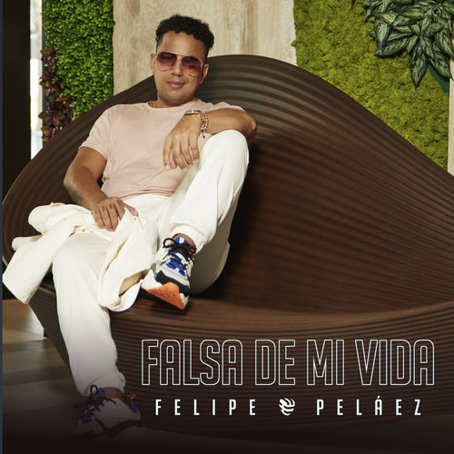 Portada de Falsa de Mi Vida