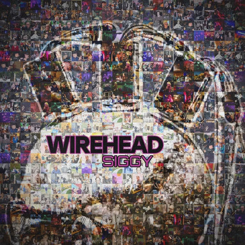 Portada de Wirehead