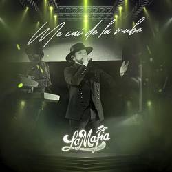 Portada de Me Caí De La Nube (En Vivo)