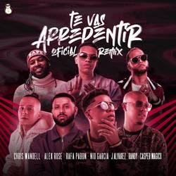 Portada de Te Vas Arrepentir (Remix)