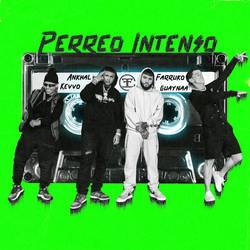 Portada de Perreo Intenso
