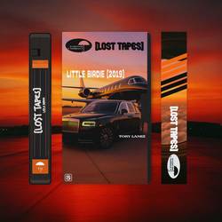 Portada de Little Birdie (Lost Tapes 2019)