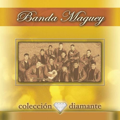 Portada de Coleccion Diamante